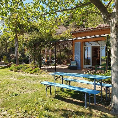 Vila House With Garden And Sea View La Londe-les-Maures Exteriér fotografie
